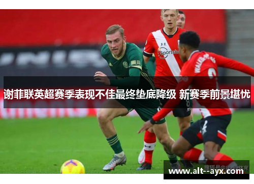 谢菲联英超赛季表现不佳最终垫底降级 新赛季前景堪忧 谢菲联英超赛季表现不佳最终垫底降级 新赛季前景堪忧